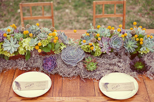 婚礼上的多肉植物元素 让人着迷的婚礼设计