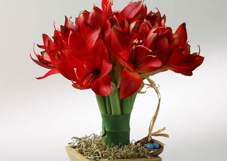 精美婚礼中常用的特别花材品种介绍