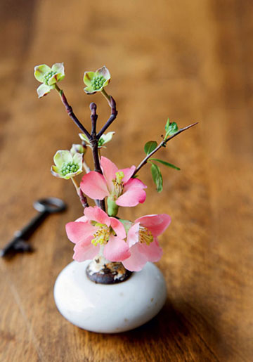 小巧花器的简单插花装饰家 感受春天的清新