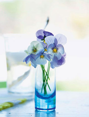 小巧花器的简单插花装饰家 感受春天的清新