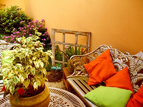 绿色植物装点居室小角落 打造自然清新家居