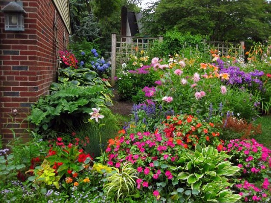 不同季节庭院花卉浇水的注意事项