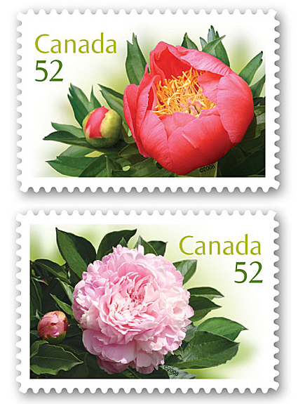 花卉邮票：加拿大芍药邮票