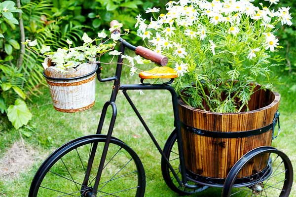 夏季庭院盆栽花卉的养护管理方法