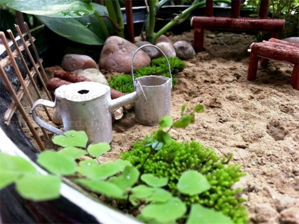 简易的迷你微型花园DIY教程步骤图解