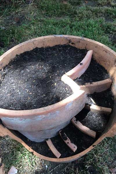 用破陶盆为多肉植物造一个小型的多肉花园