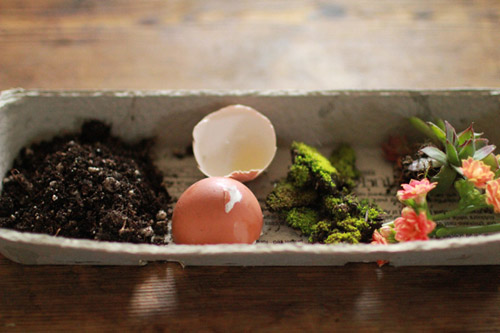 蛋壳盆栽DIY教程：鸡蛋壳变身美妙蛋壳小盆栽
