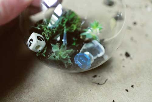 玻璃球中栽培多肉植物 DIY一个精灵王国