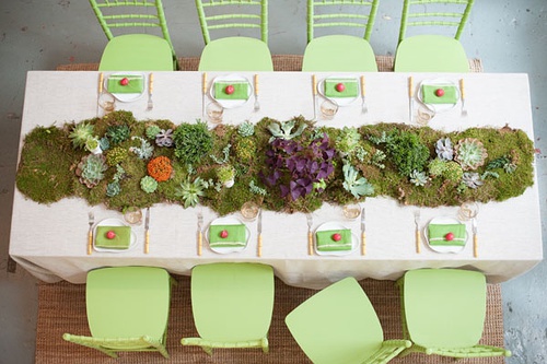 苔藓和多肉植物混搭布置的奇幻风格餐桌装饰