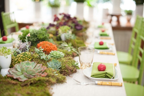 苔藓和多肉植物混搭布置的奇幻风格餐桌装饰