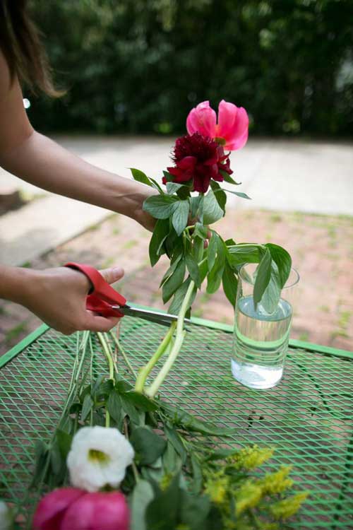 10种基本的鲜花养护技巧 让鲜花保鲜更长时间