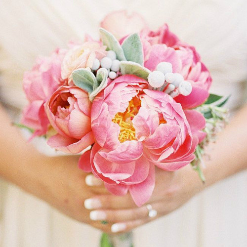粉嫩色系新娘手捧花 让人嗅到春天的气息