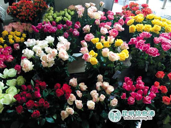 昆明：七夕节鲜花价格普涨 玫瑰花价格涨不过配花