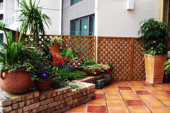 家庭园艺 露台花园的布置技巧