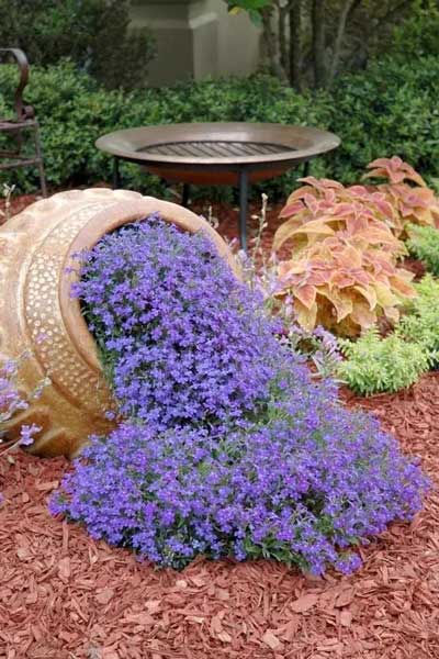 Spilled Flower Pots园艺法 让后院美成画卷