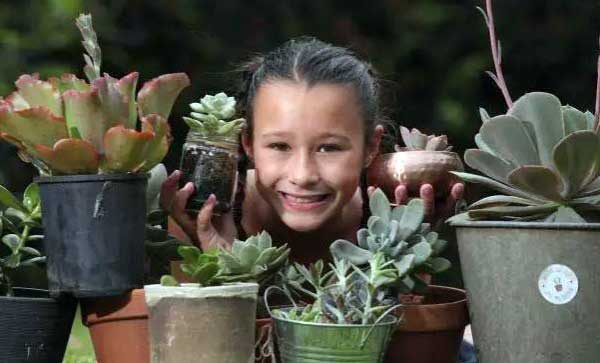 9岁“多肉小美女” 凭借多肉植物创业捐资慈善6000澳元
