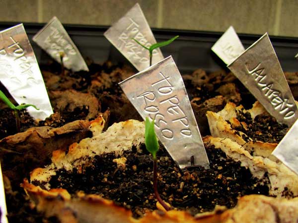 【创意】为你的花园增添灵气的植物标签